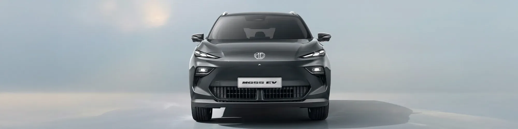MGS5 EV