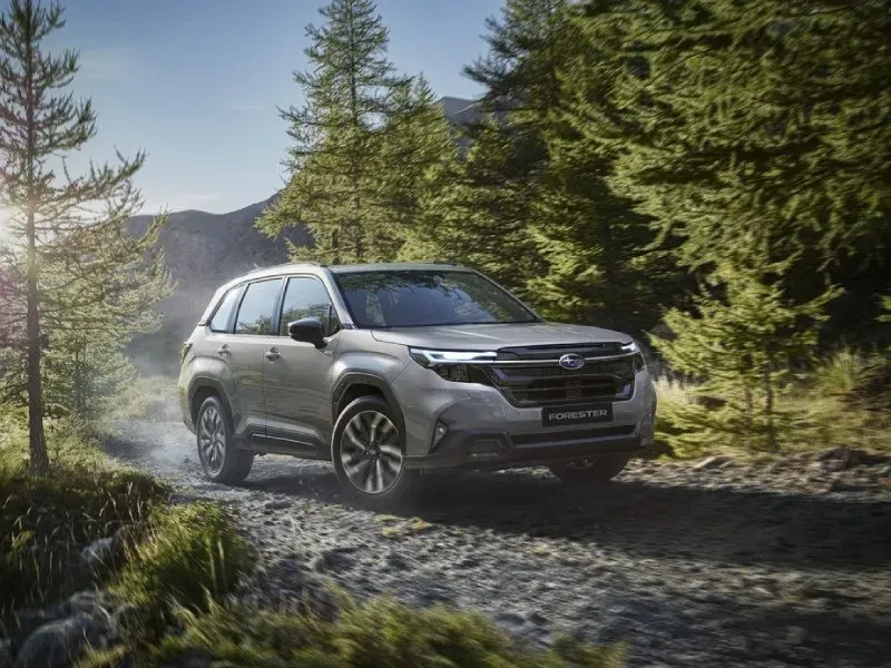 Subaru Forester at Palmers Cars