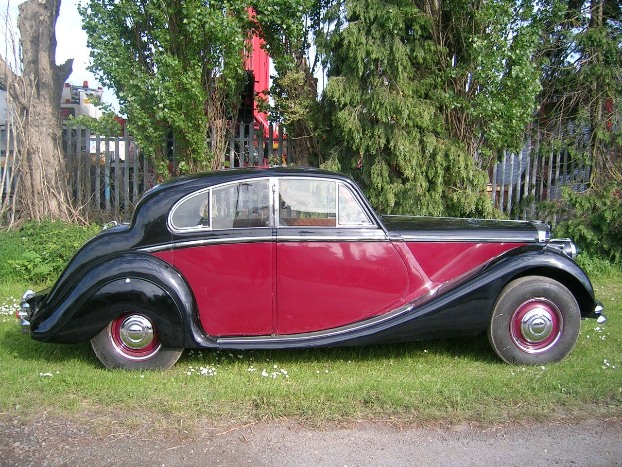 Jaguar Other