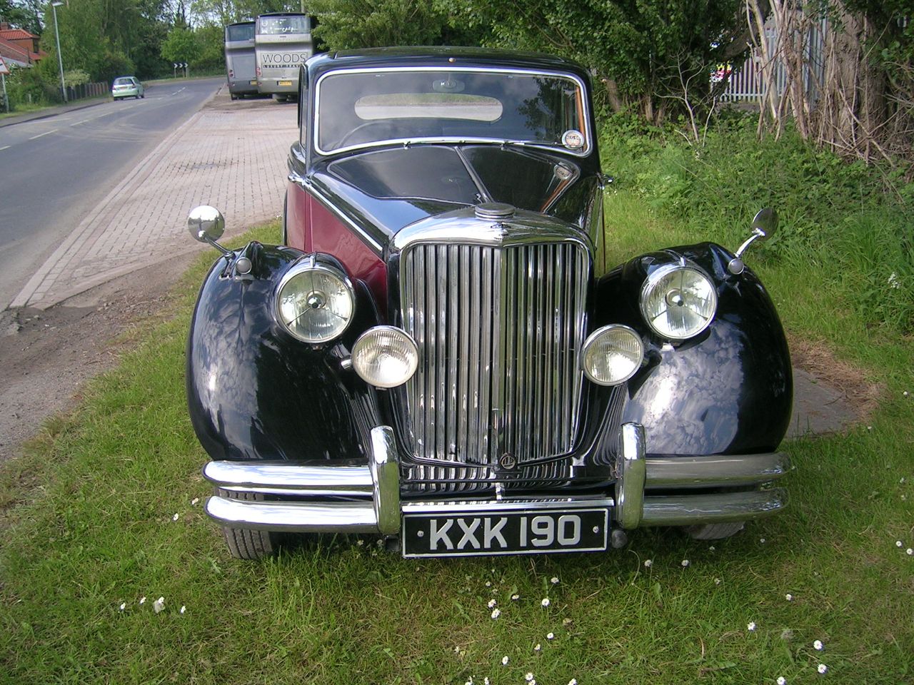 Jaguar Other