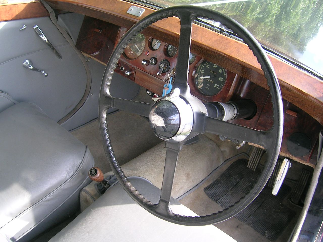 Jaguar Other