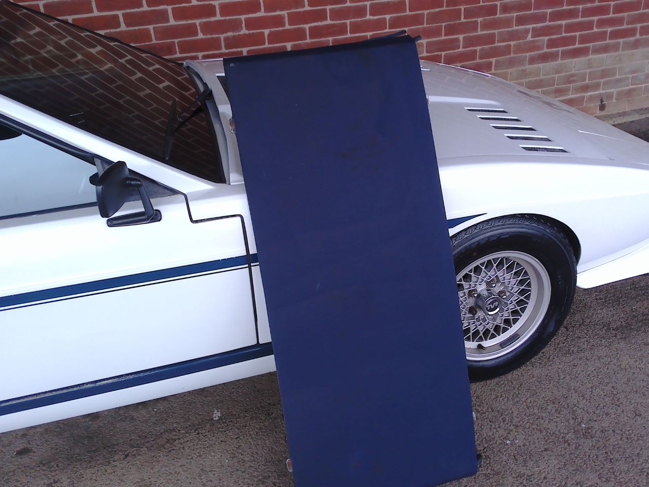 Tvr Tasmin