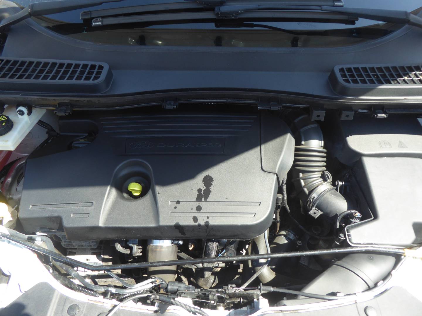 Ford KUGA VIGNALE