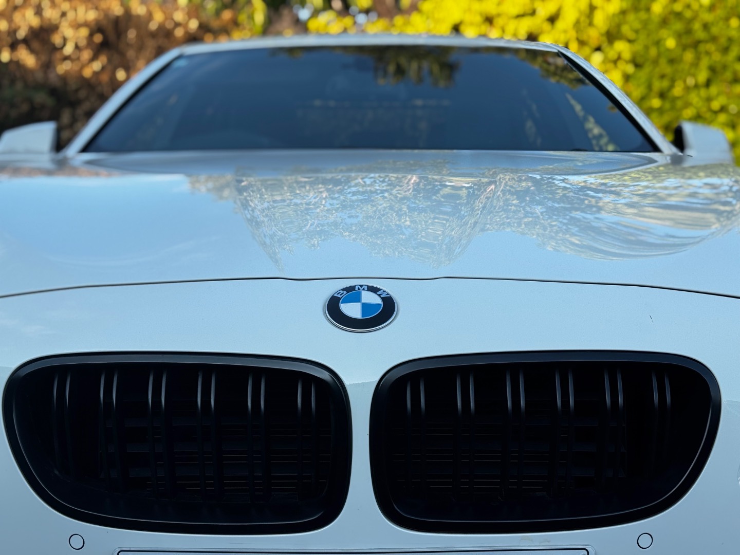 BMW 528