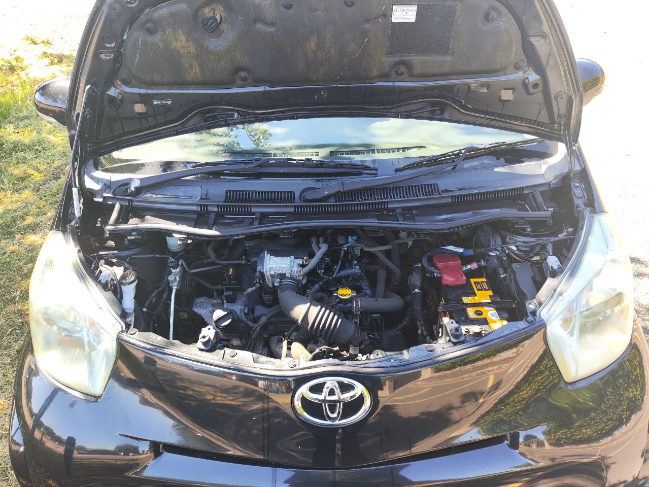 Toyota IQ