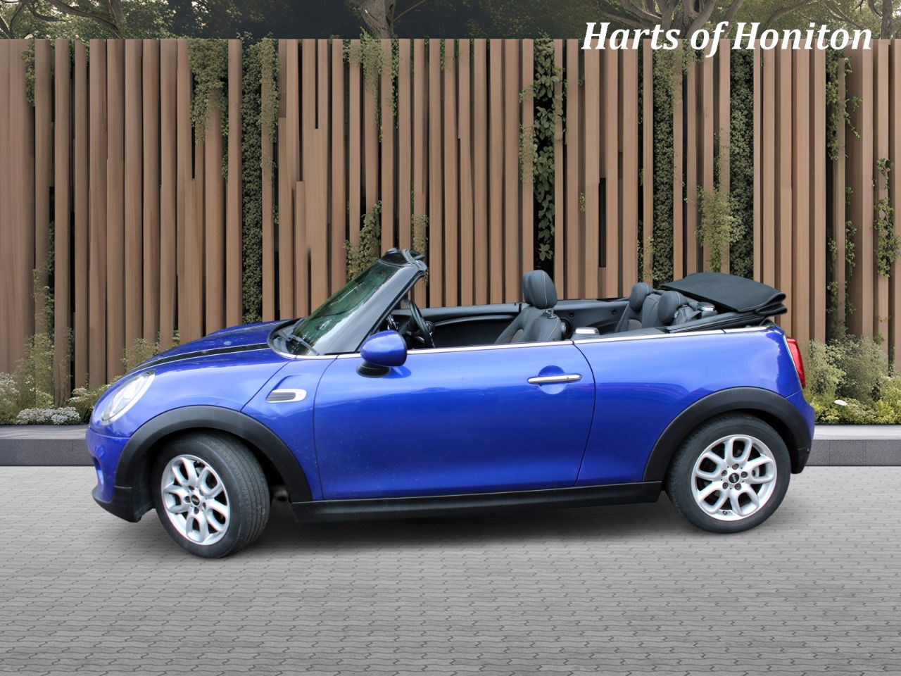 Mini Convertible