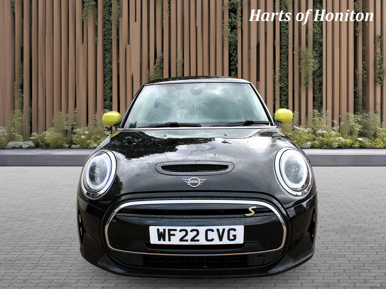 Mini Hatchback