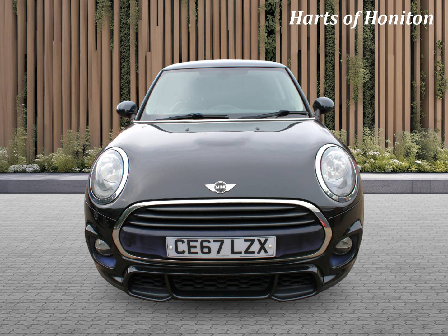 Mini Hatchback
