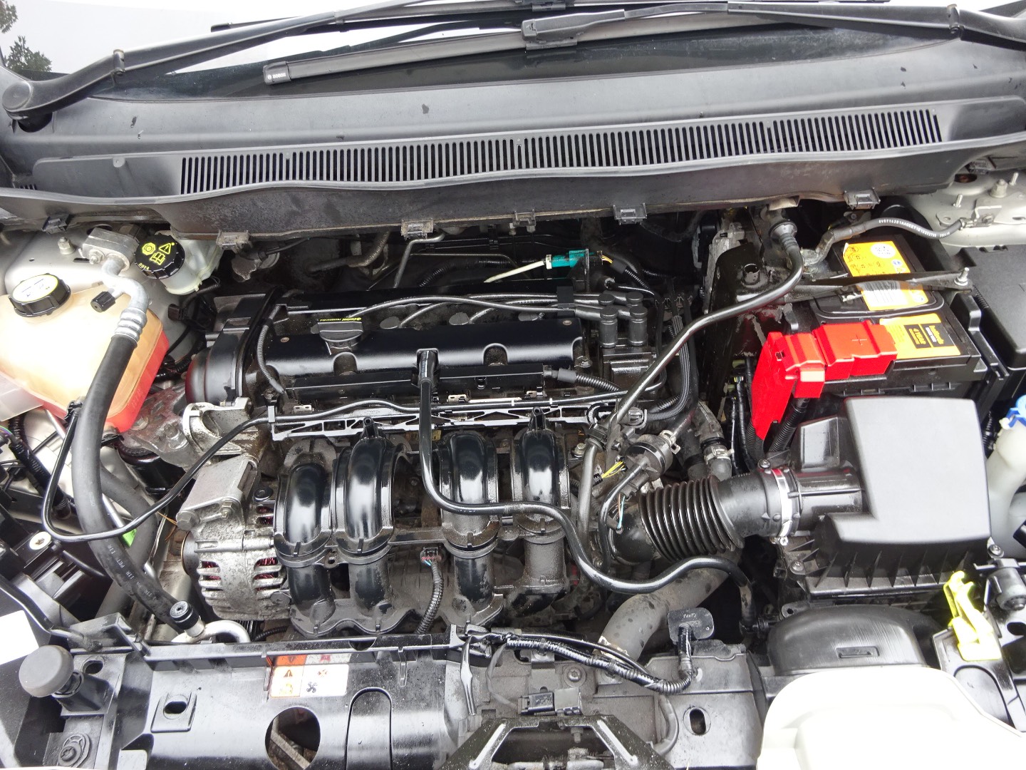 Ford B-MAX