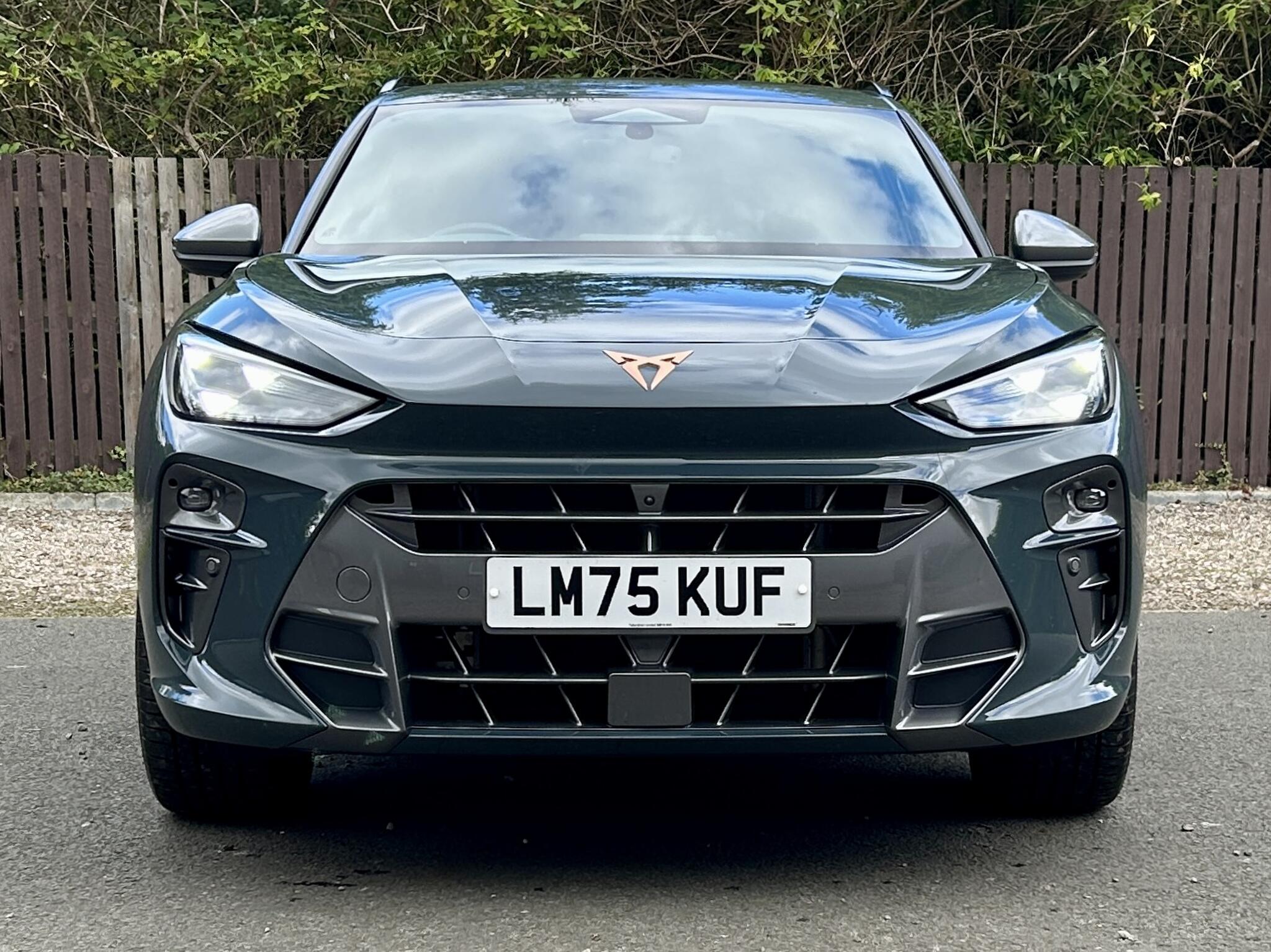 Cupra Terramar