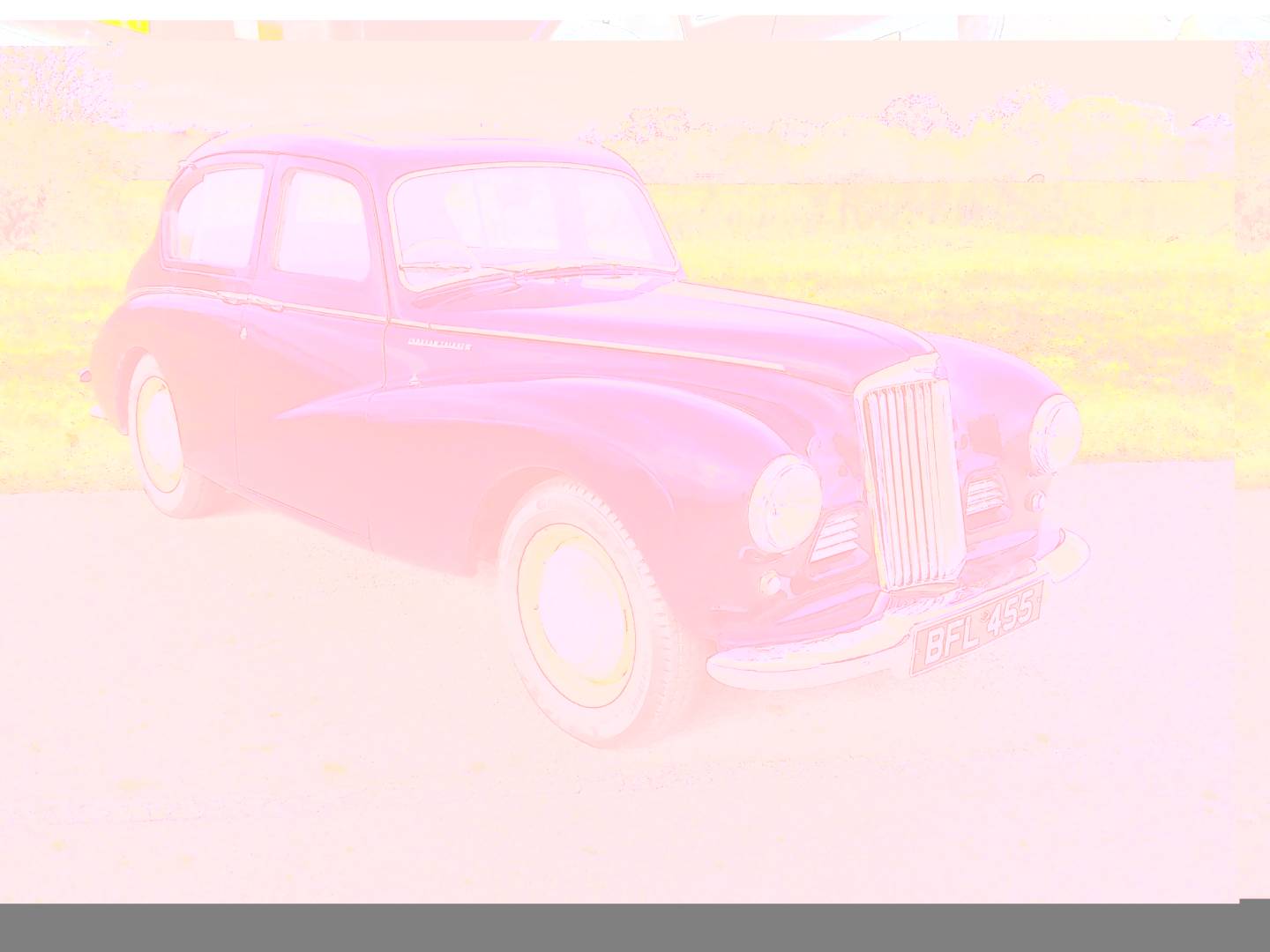 Sunbeam Other