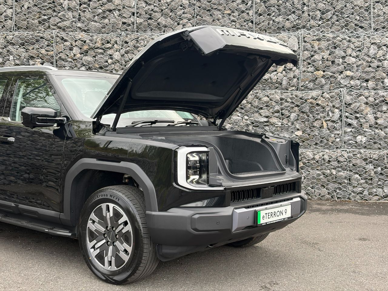 Maxus Terron 9