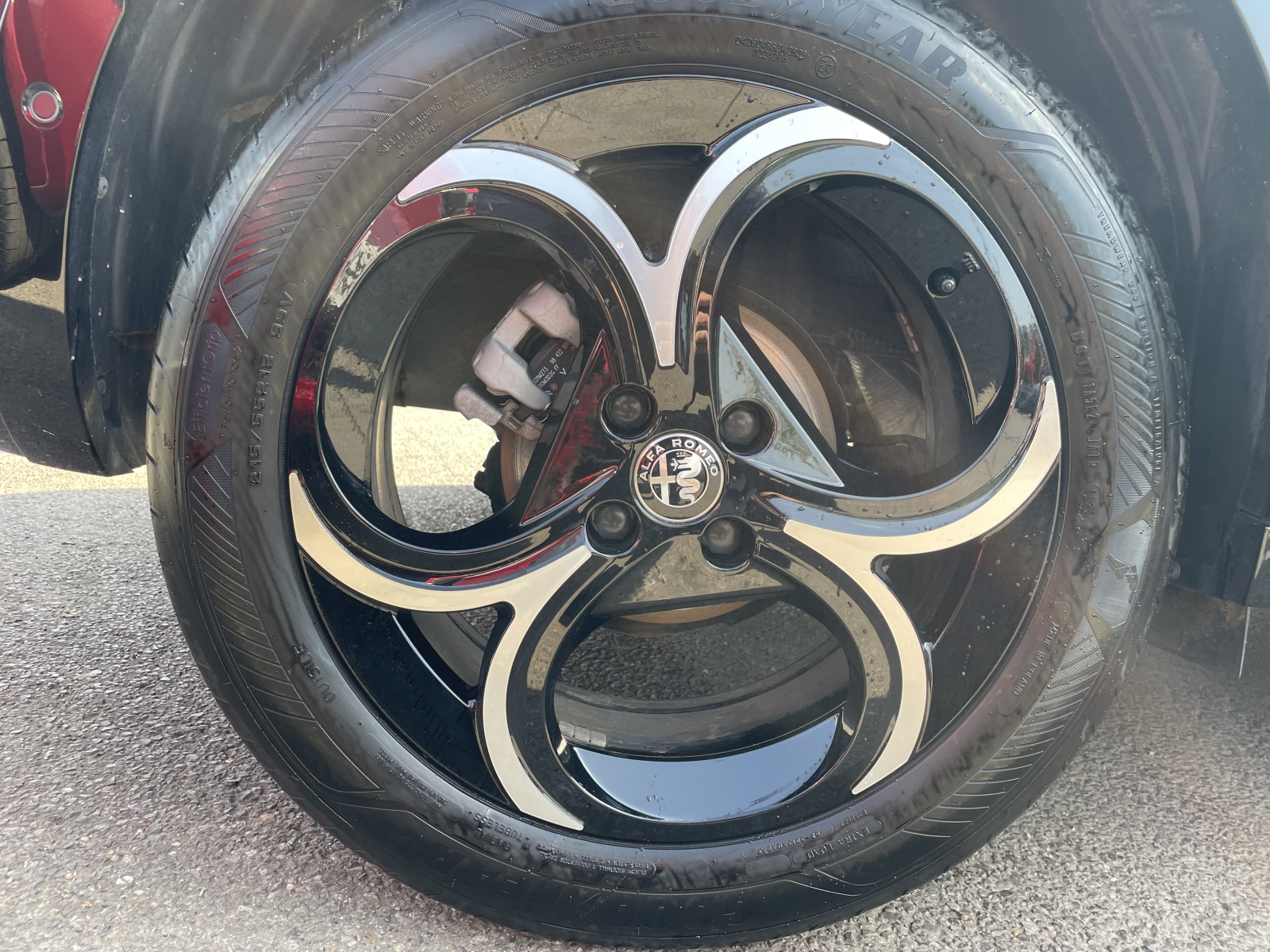 Alfa Romeo JUNIOR