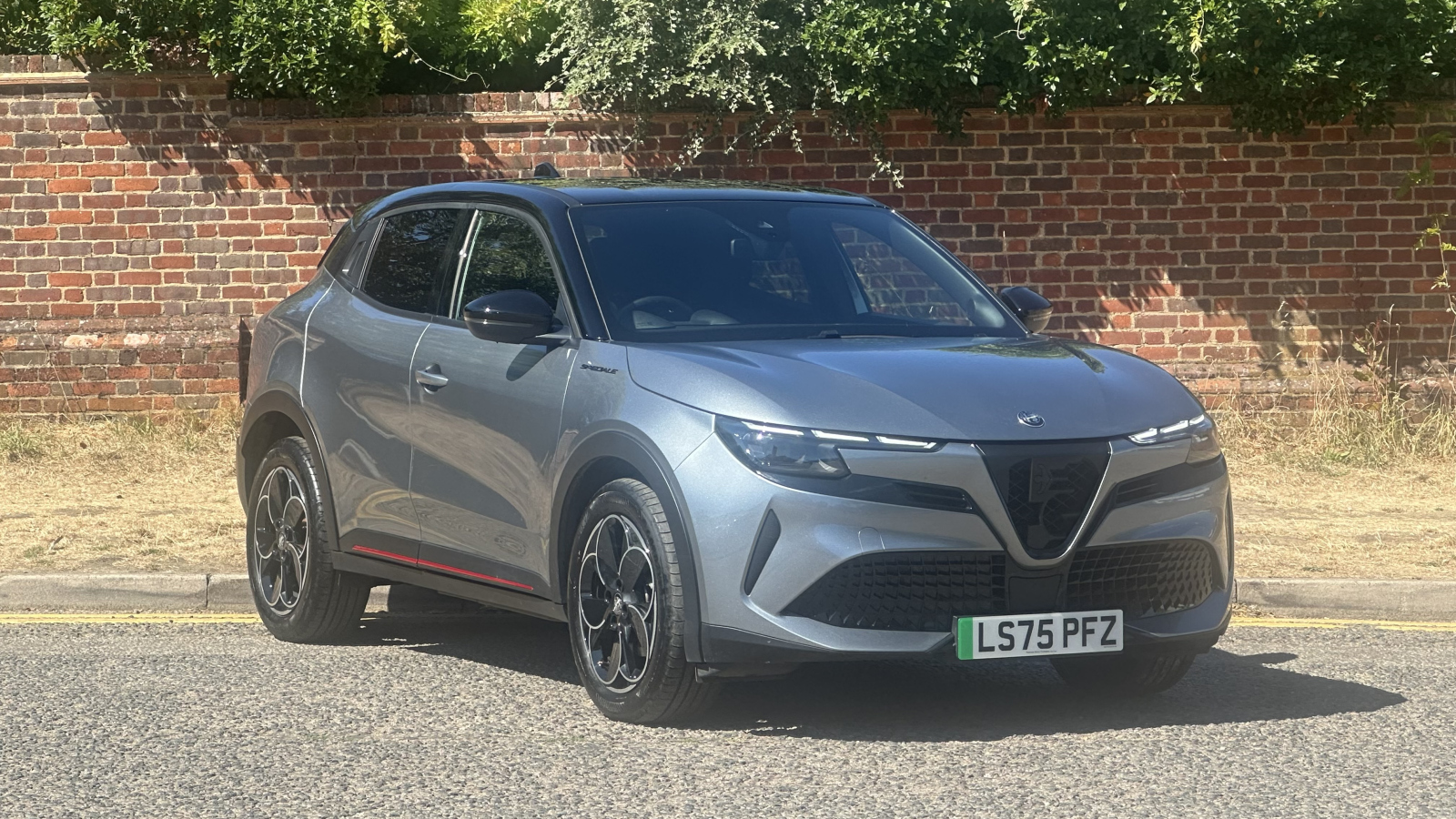 Alfa Romeo JUNIOR