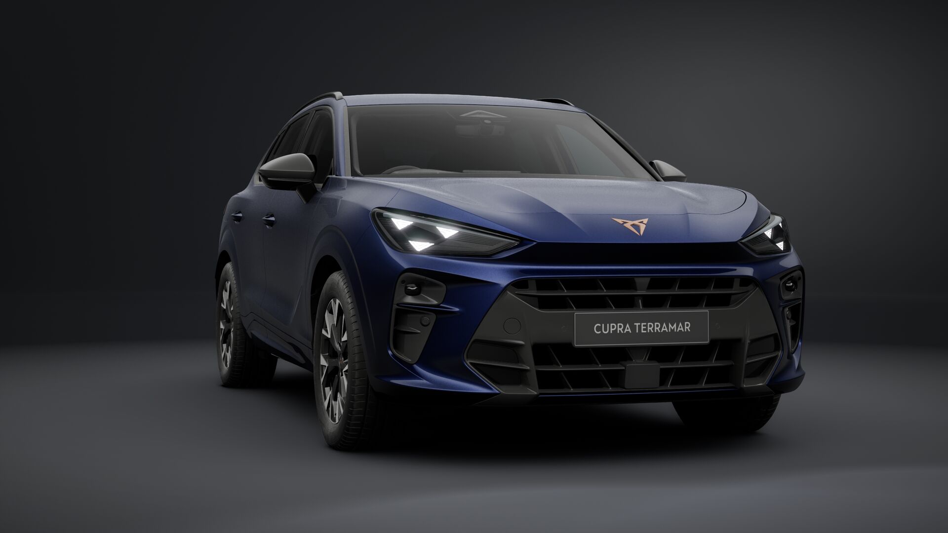 CUPRA TERRAMAR Colours