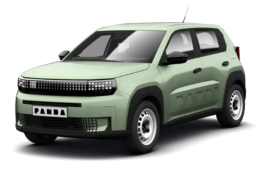 Grande Panda Electric Colours