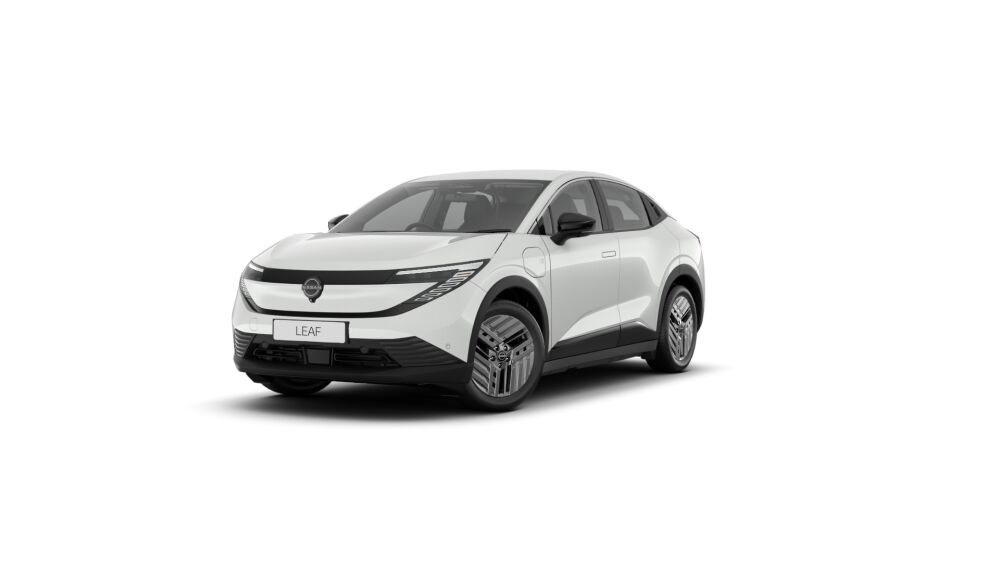 Nissan Leaf 75kWh Extended Range Battery