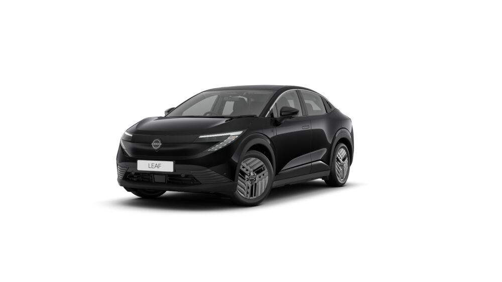 Nissan Leaf 75kWh Extended Range Battery
