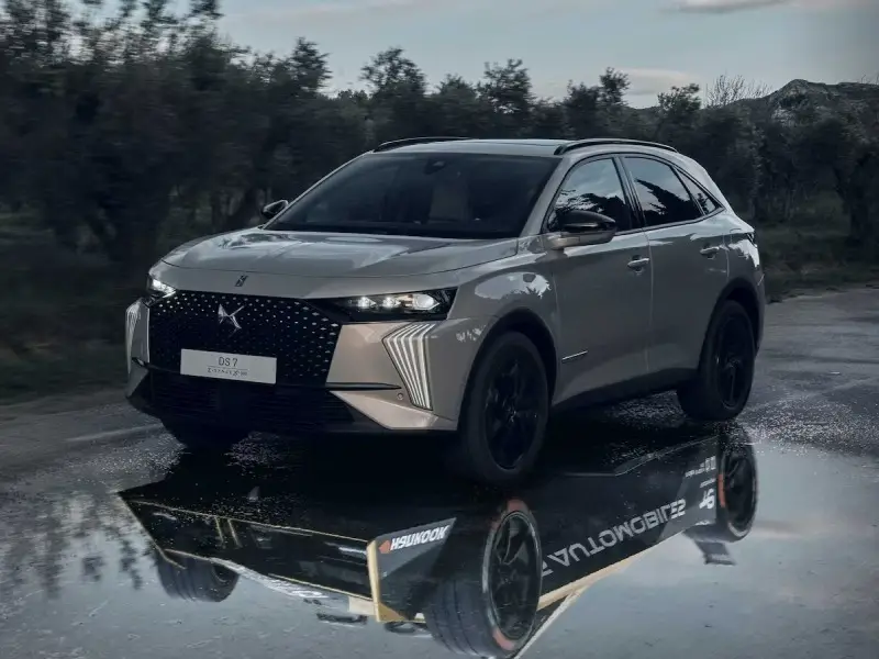 DS APPROVED REPAIRER 