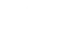 Citroen Professional