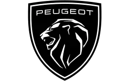 Peugeot Professional