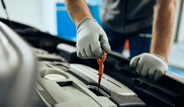 Expert Servicing & MOT