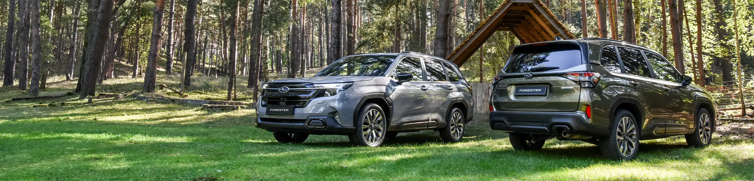 New Subaru Range