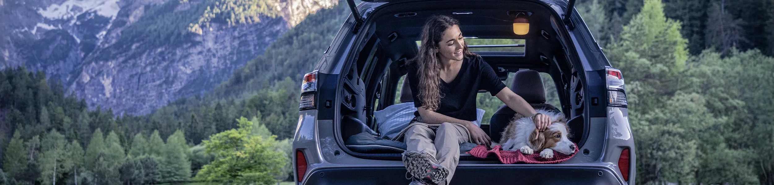 Flexible Vehicle Finance