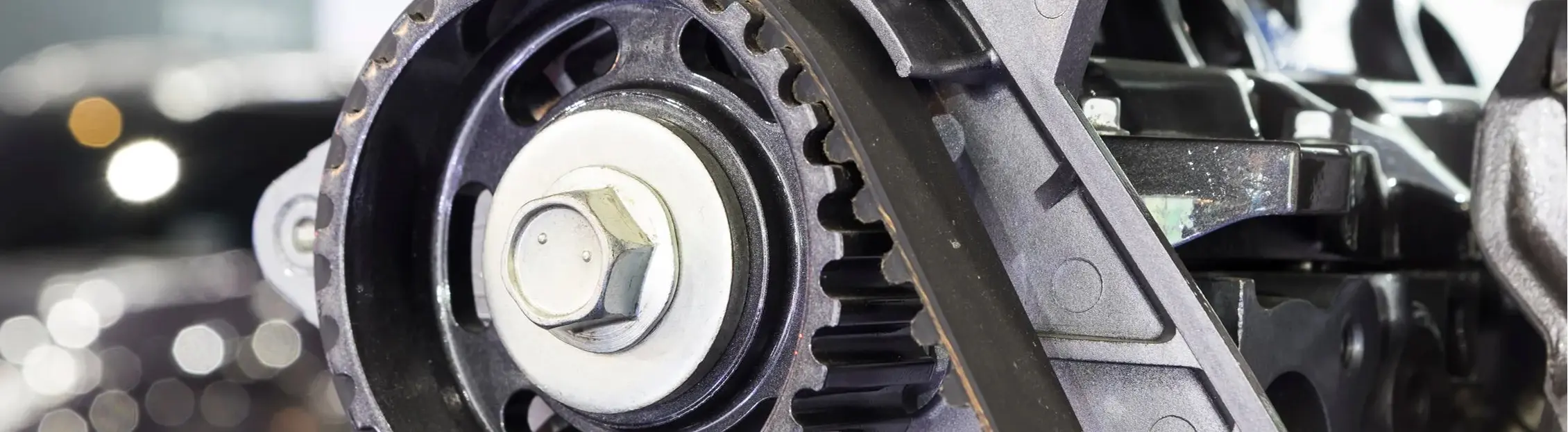 Cambelt & Wet Belt Service