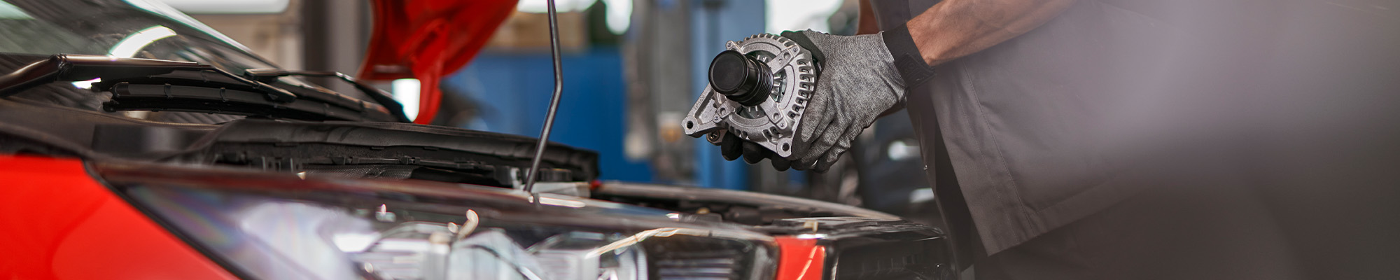 Palmers Service Programs