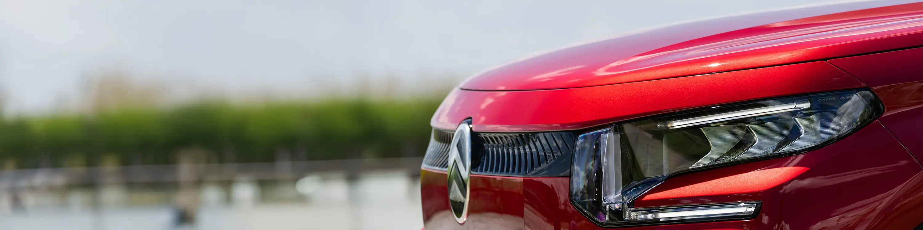 Citroen Offers at Palmers